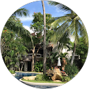 Rehandre Viljoen profile picture