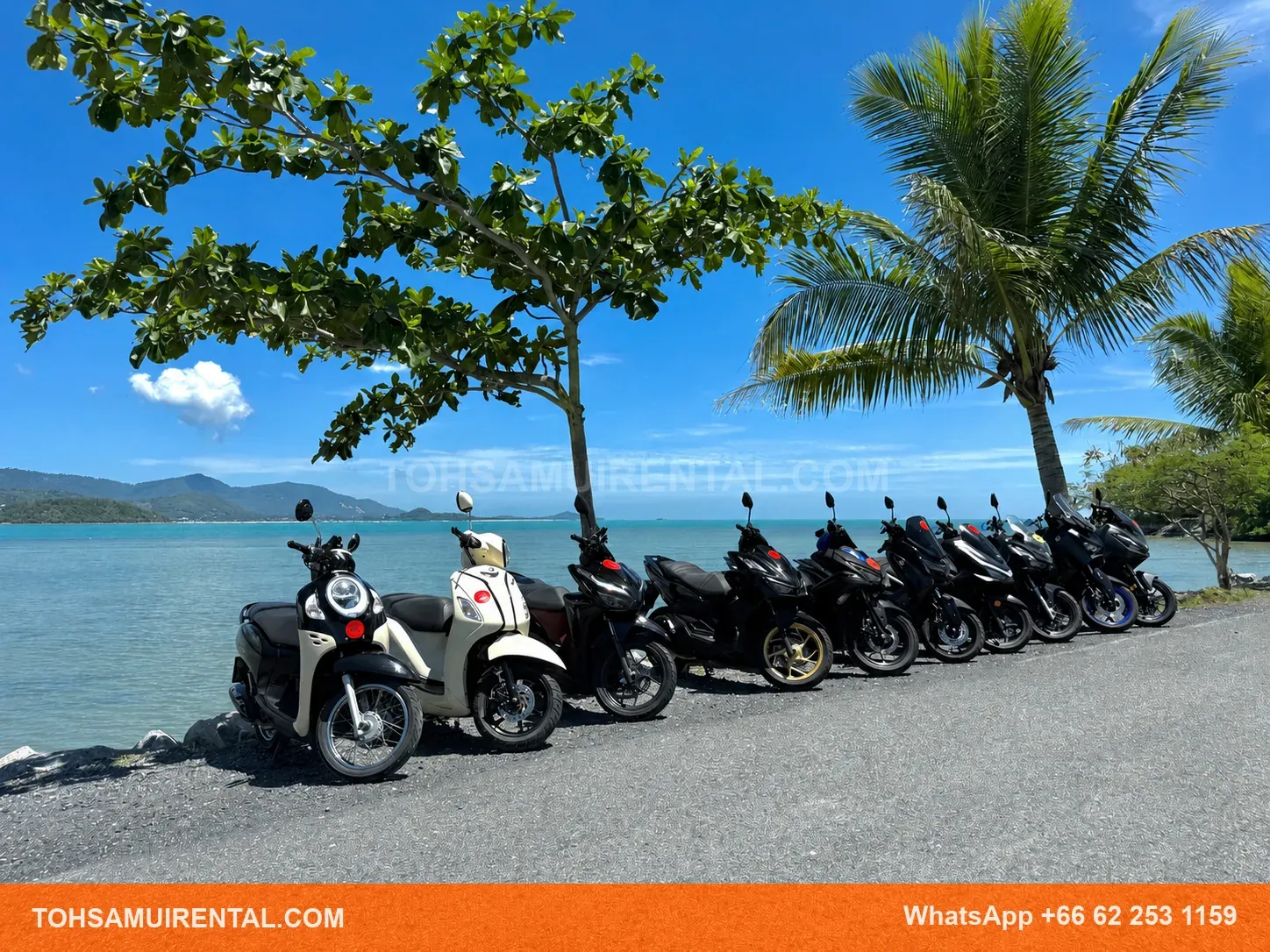 TOH-Motorbike-Kohsamui (1)
