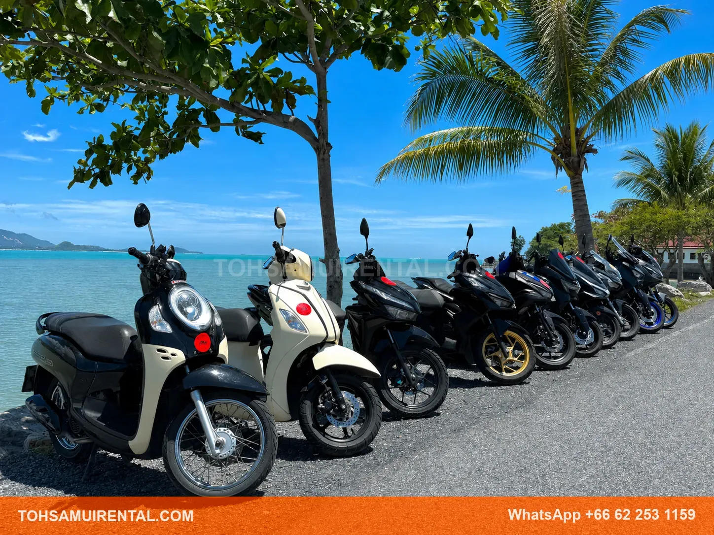 TOH-Motorbike-Kohsamui (3)